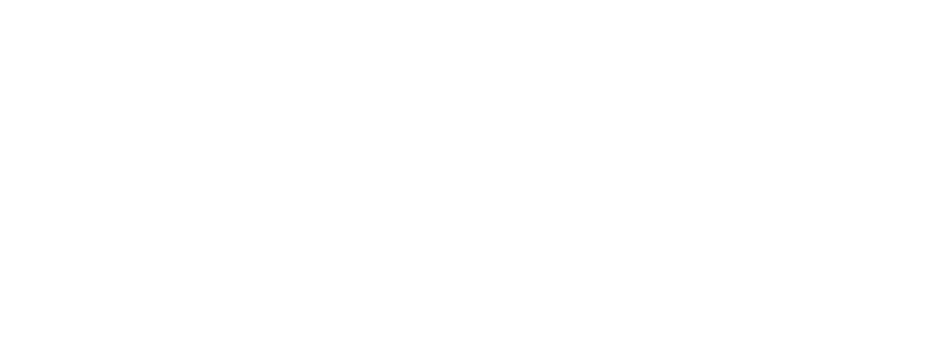 NAVC Logo